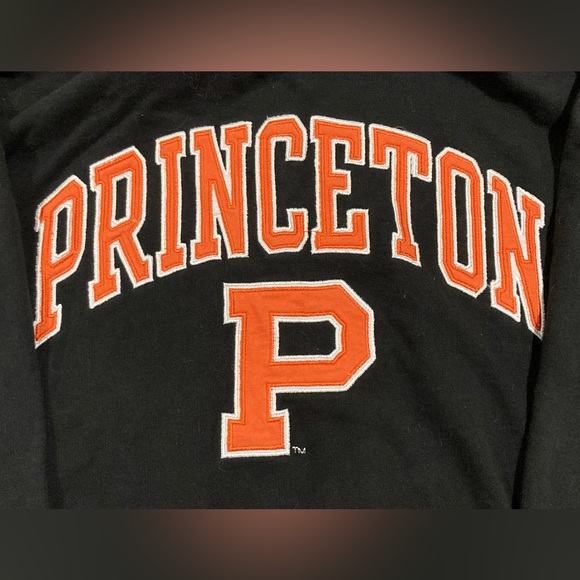 Embroidered Heritage Seal Princeton Hoodie - Picture 3 of 4